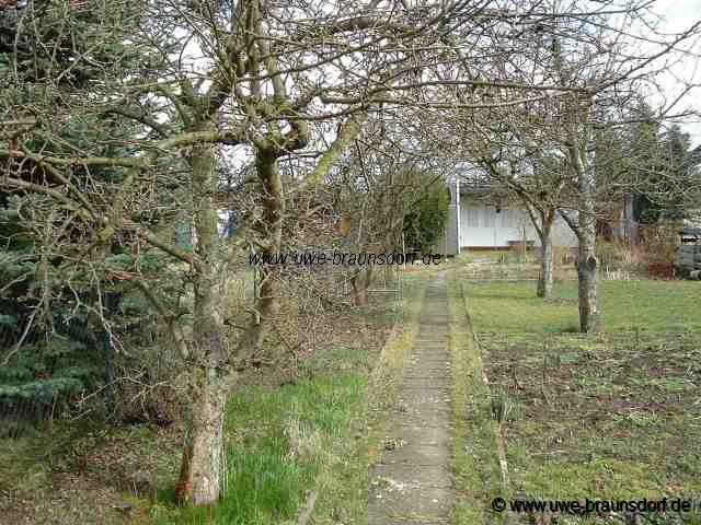 Alte und kranke Obstbäume