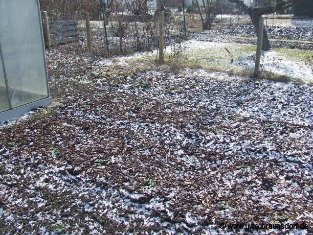 Winter 2011