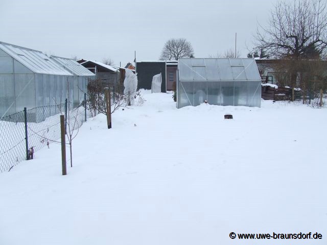 Winter 2010/2011