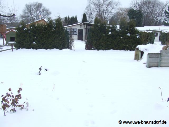 Winter 2010/2011