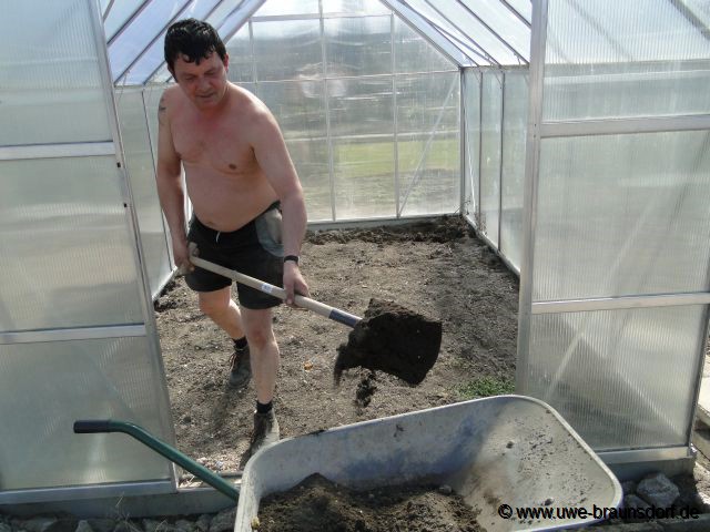 Erde im Gewächshaus komplett entfernen
