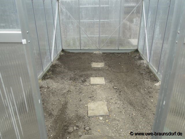 Gewächshaus vom Unkraut befreit