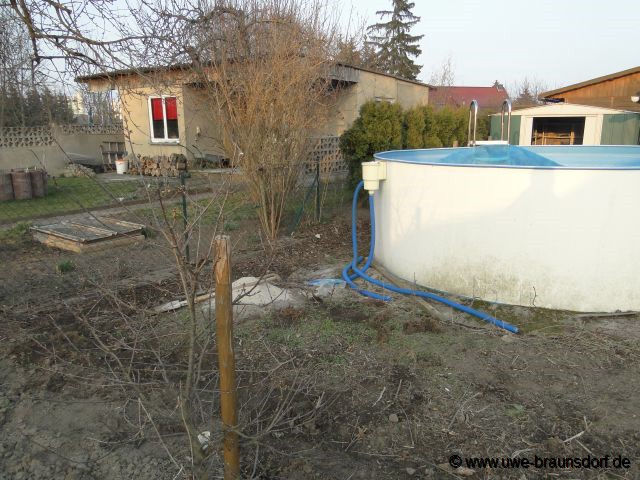 Ligusterhecke entfernen