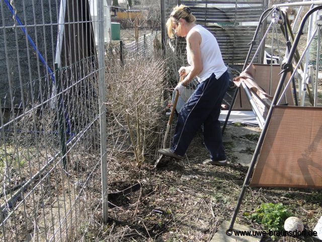 Vorbereitung KIWI pflanzen