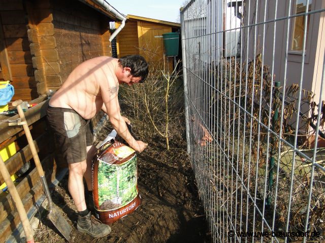 Vorbereitung KIWI pflanzen