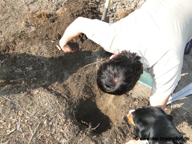 Vorbereitung Bau eines Sichtschutzzaunes, hier: Loch ausheben