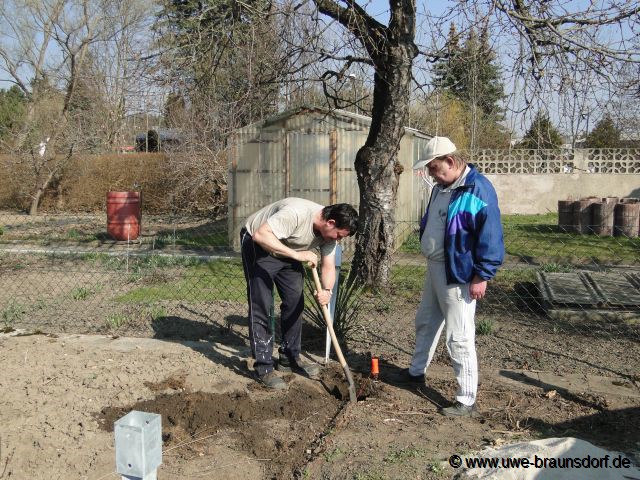 Vorbereitung Bau eines Sichtschutzzaunes, hier: Loch ausheben