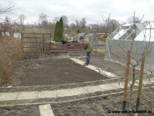 Beete vorbereiten zum stecken der Steckzwiebeln der Sorte Stuttgarter Riesen