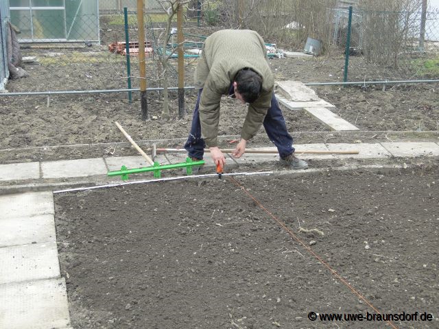 Beete vorbereiten zum stecken der Steckzwiebeln der Sorte Stuttgarter Riesen