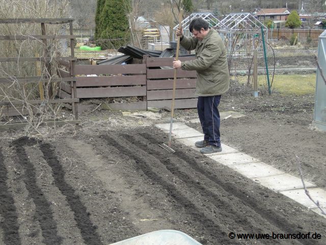 Beete vorbereiten zum stecken der Steckzwiebeln der Sorte Stuttgarter Riesen