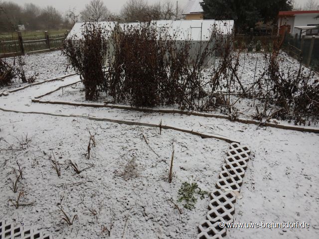 Der erste Schnee Ende 2014