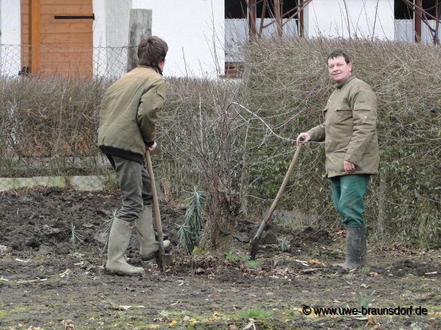 alte Obstbäume entfernen
