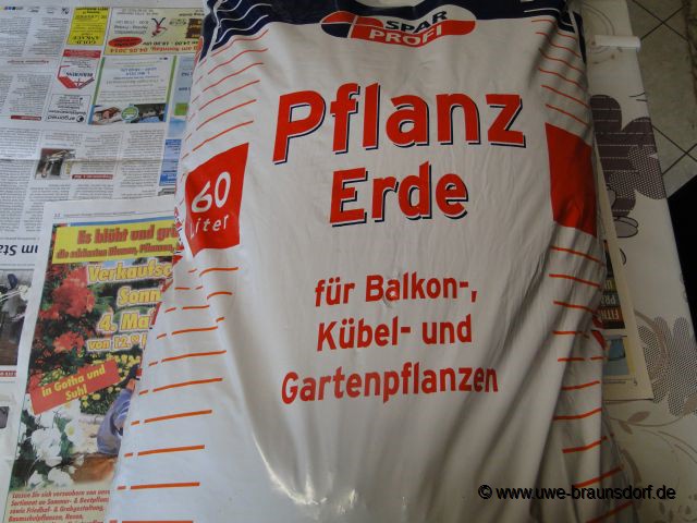 Anzucht 2014
