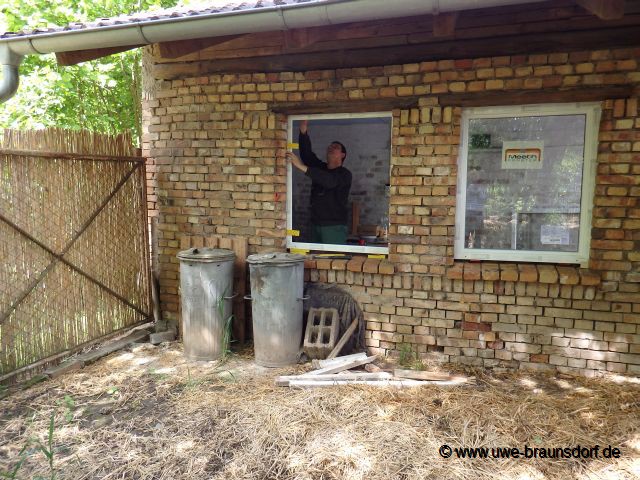 Einbau neuer Fenster im Stall